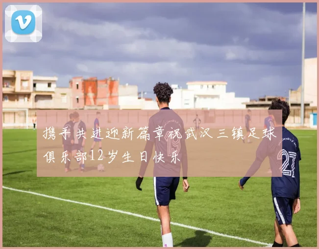 携手共进迎新篇章祝武汉三镇足球俱乐部12岁生日快乐