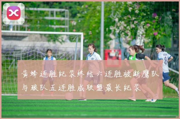 黄蜂连胜纪录终结六连胜被断鹰队与狼队五连胜成联盟最长纪录
