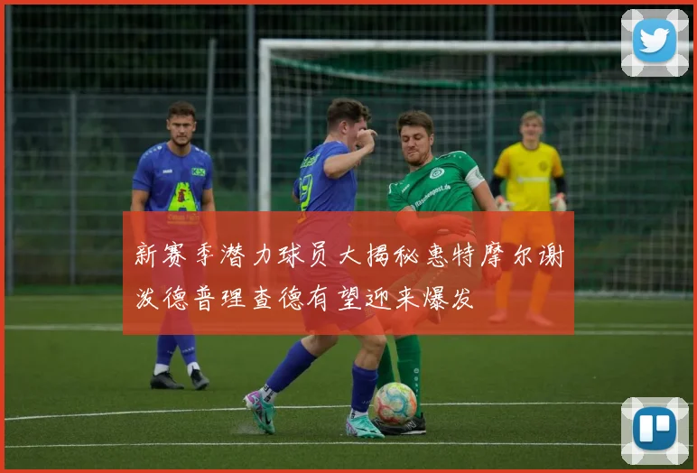 新赛季潜力球员大揭秘惠特摩尔谢泼德普理查德有望迎来爆发